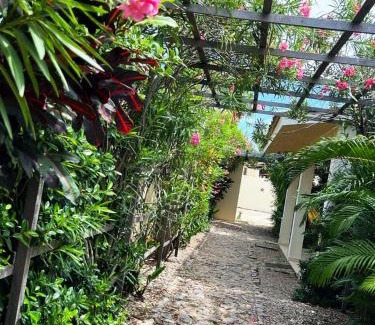 Barra Nova Cabin | Chalés Estrelas Do Mar