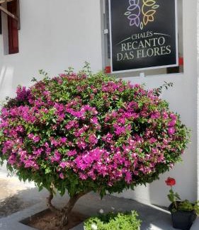 Monte das Gameleiras House | Chalés Recanto das Flores RN