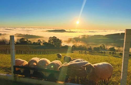 Dois Lajeados Cabin | Chalés Vista dei Monti