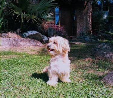 Nucleo Maua House | Chale Canto dos Cristais