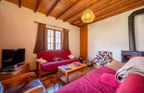 Saint-Colomban-des-Villards Ski Chalet | Chalet Savoiage - 13 personnes