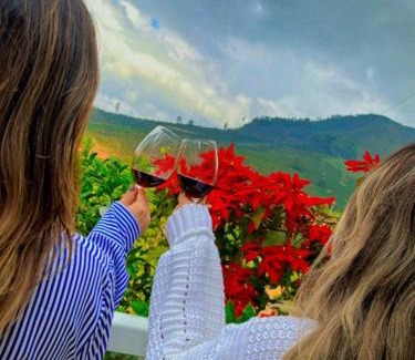 Espera Feliz Other | chalecachoeiradochiador