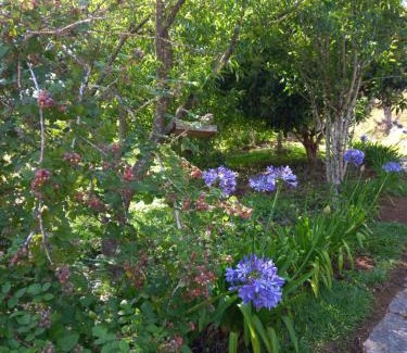 Cunha House | chales 03 canário fogo