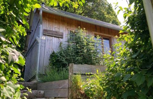 Saint-Prix Ski Chalet | Chalet Au bois du Haut Folin