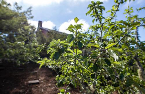 Santana Ski Chalet | Chalet Pico das Pedras