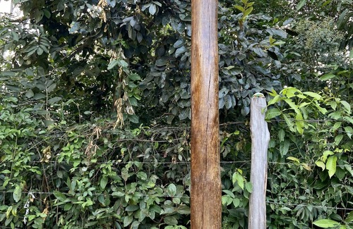 Pirenopolis Ski Chalet | Chalet Suite with heated pool