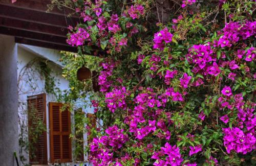 Son Servera House | Chalet Tres Mares, Cala Millor