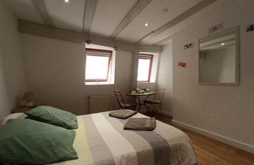 Colmar Centre Ville Hotel | Chambre - Centre historique - Equipée - Salle d'eau et WC privés