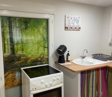 Saint-Laurent-de-Cerdans House | Chambre au vert