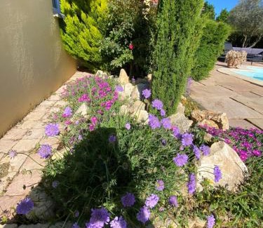 Limas Bed & Breakfast | Chambres dans villa avec piscine