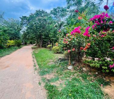 Kimbissa House | Chamikara Homestay