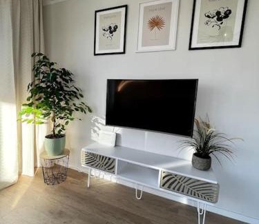 Sinsheim Apartment | Charmante Penthouse - Therme Badewelt - Museum in Sinsheim Hoffenheim