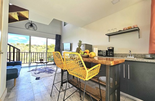 Poas Volcano National Park Ski Chalet | Charming 1-bedroom chalet in lush Poas with cascading pools & raw nature WiFi