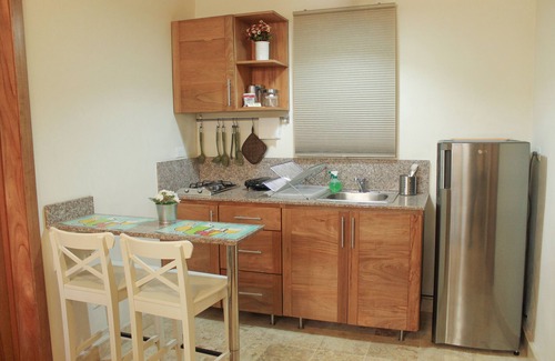 Ciudad Nueva Apartment | CHARMING 1BR APT WALKING DISTANCE TO COLONIAL ZONE