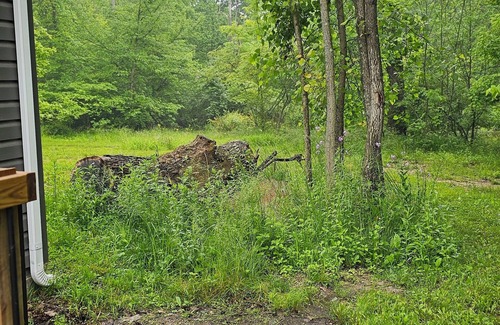 Irwin Cottage | Charming 2-bedroom cottage in Beautiful Milford Center with WiFi, AC