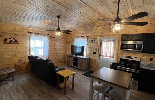 Eddyville Cabin | Charming 2-bedroom cabin with WiFi, AC in quaint Eddyville