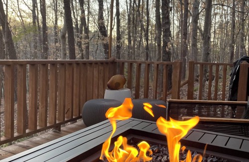 Toccoa Cabin | Charming 2-bedroom cabin with WiFi and AC in serene Toccoa