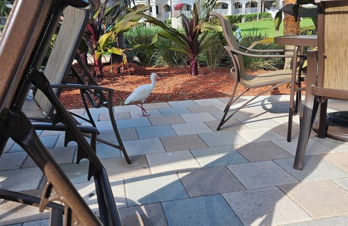 Key West Resort | Charming 2-bedroom resort with WiFi, fitness room in phenomenal Key West.