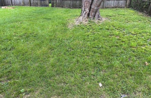 Columbus House | Charming 2-bedroom townhome with WiFi, AC in Columbus nearAirport