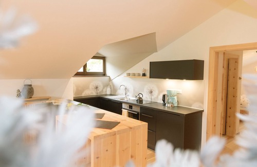 Aldino Apartment | Charming and Cozy Holiday Home “Ferienwohnung SEA Wieserhof” with Mountain View, Balcony, Shared Garden & WiFi; Parking Available