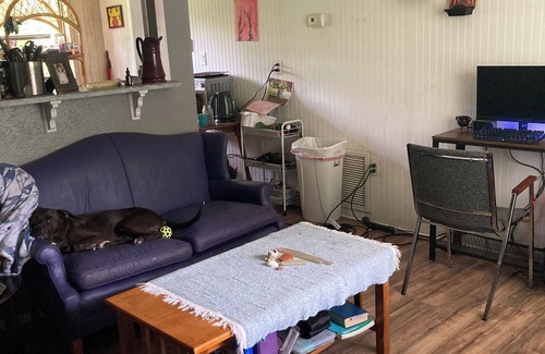 Ocala House | Charming bedroom in a house, in amazing Ocala with WiFi, fitness room