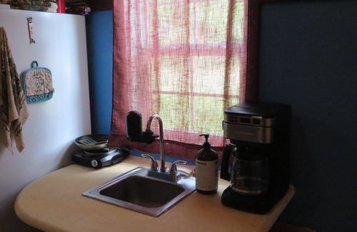 Spring Hill Cabin | Charming cabin in Spring Hill with AC, WiFi, Corgis, Chickens, Star view