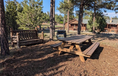 Hot Springs Cabin | Charming cabin with 1 bedroom and WiFi, AC in serene Custer