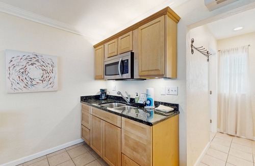 Pass-a-Grille Historic District Condo | Charming dog-friendly studio with WiFi, shared washer/dryer - snowbirds OK