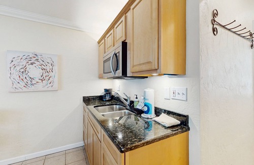 Pass-a-Grille Historic District Condo | Charming dog-friendly studio with WiFi, shared washer/dryer - snowbirds OK