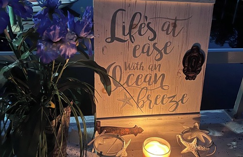 Palmetto Boat Rental | Charming house boat in serene Palmetto.