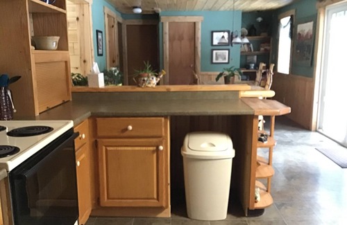 Wolverine House | Charming lodge like cabin on trout stream great for kayaking and near ORV trails