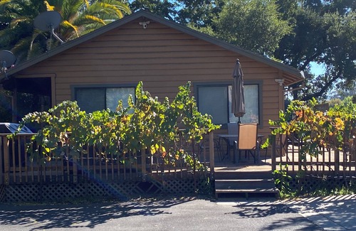 Sonoma Cottage | Charming private Cottage with hot tub in the Countryside of Sonoma