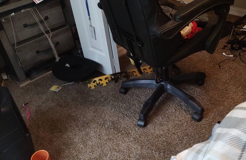 Ocala Apartment | Charming studio with 3 bedrooms and WiFi, fitness room in welcoming Ocala v