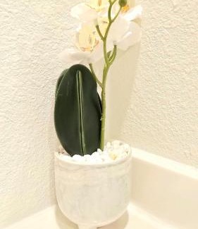 Mobile House | Charming & Stylish in Mid-Town