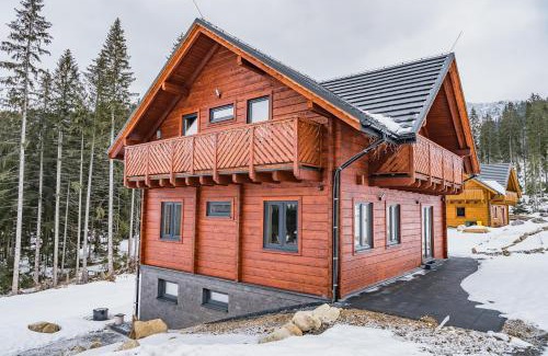 Demanovska Dolina Ski Chalet | Chata Jazorna