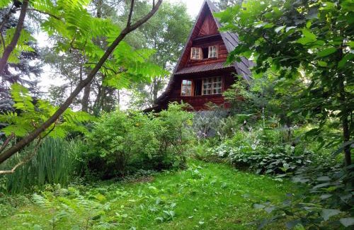 Walim Ski Chalet | 'chata usÓwek'