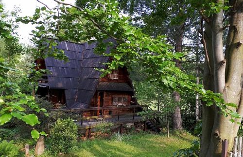 Walim Ski Chalet | 'chata usÓwek'