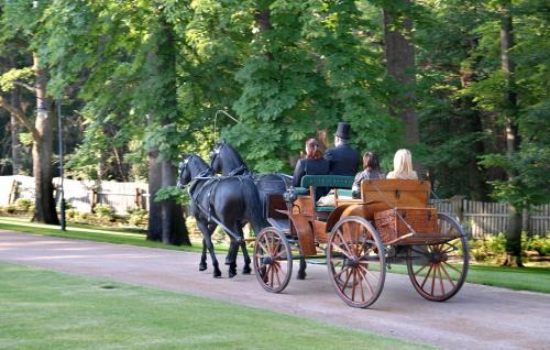 Mcely Hotel | Chateau Mcely