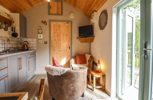 Caersws Cottage | CHATEAU PETIT, pet friendly, with a garden in Trefeglwys