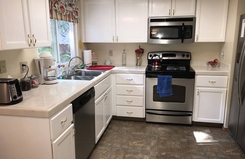 Mira Loma House | Cheerful, spacious house in mid Reno . Close to everything and dog friendly!