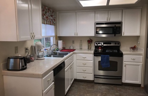 Mira Loma House | Cheerful, spacious house in mid Reno . Close to everything and dog friendly!