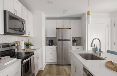 Downtown Dunedin Cottage | Chic Cottage Walk to Downtown Dunedin & Waterfront Pets Ok- Barefoot Parrot 3