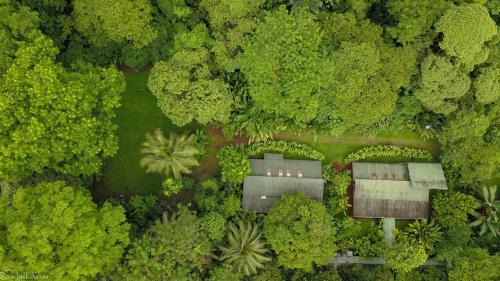 Chilamate Cabin | Chilamate Rainforest Eco Retreat