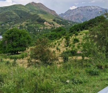 Uzbekistan Apartment | Chimgan Gora