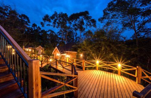 Fort Portal Cabin | Chimpundu Lodge