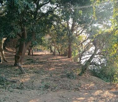 Chirundu Other | Chirundu Riverside Campsite