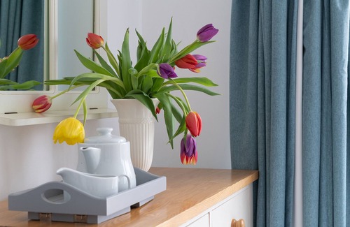 Rhydwyn House | Church Bay Sleeps 8 sea Views dog Friendly Garden log Fire 5 Minutes From Beach