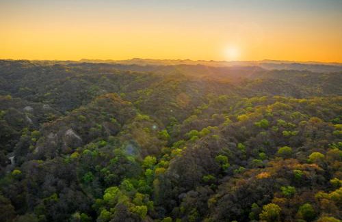 Hoshiarpur Villa | Citrus County, Hoshiarpur, amã Stays & Trails