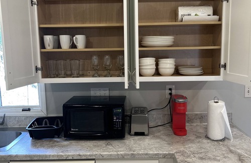 Greensboro House | City House in a Forest