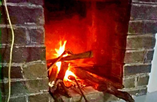 Pasirjambu Other | Ciwidey Jungle Camp & Cabin